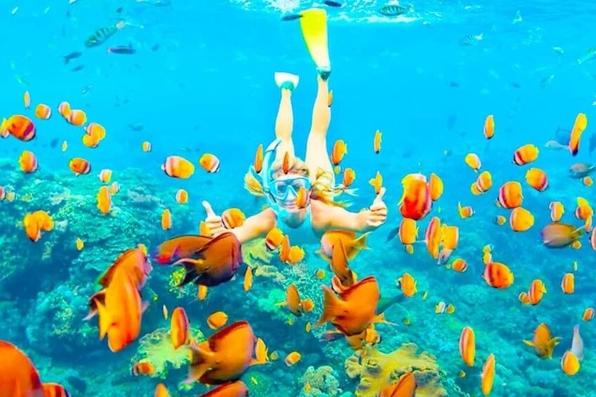 Learn from Vietnam’s best – in paradise